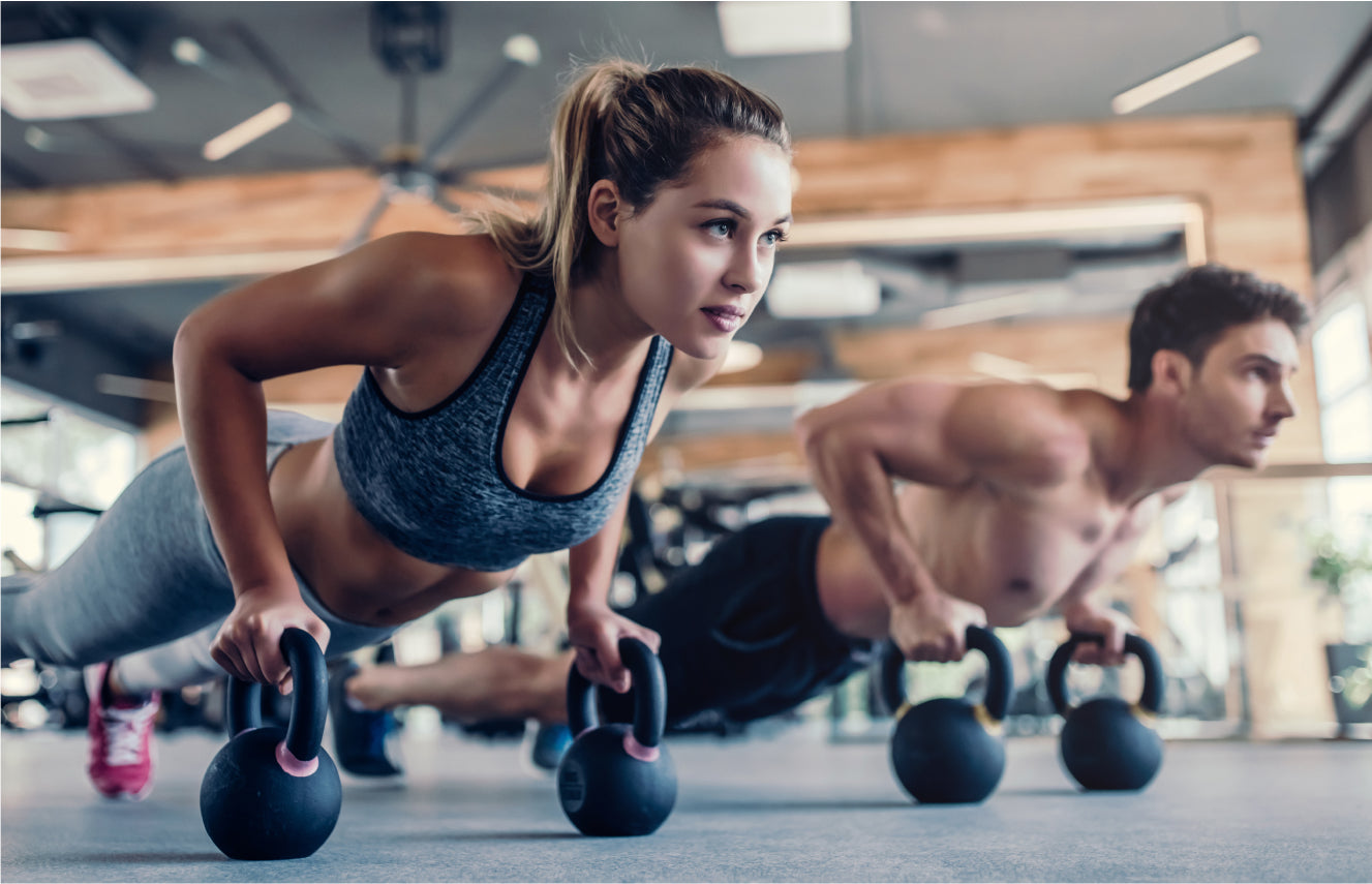 6-Month V Shred Custom Diet Plan