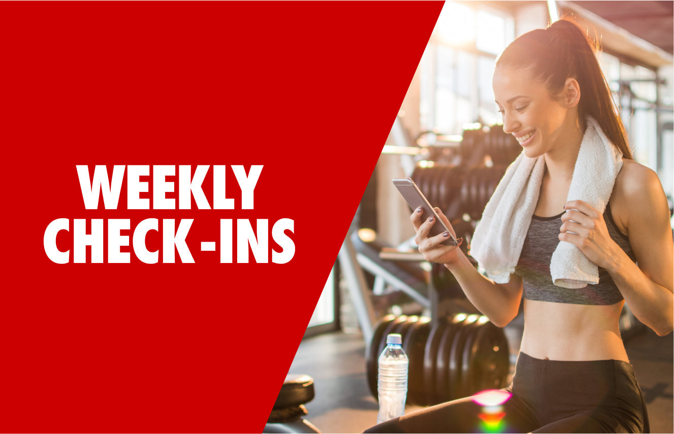 3-Month V Shred Custom Diet Plan
