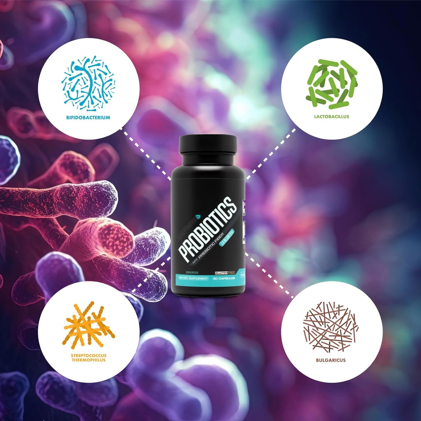 Probiotics - Premium Gut Health and Digestive Support