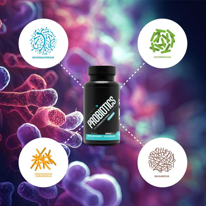 Probiotics - Premium Gut Health and Digestive Support